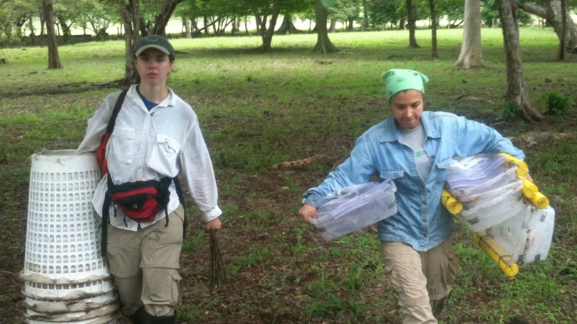 Ellen Irwin ’14 (left) and Ramsa Chaves-Ulloa carry insect traps made from modified laundry baskets during their research trip to Costa Rica. (Photo courtesy of Ellen Irwin ’14)